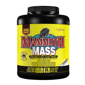MAMMOTH MASS 2,2KG INTERACTIVE NUTRITION Gainers Power Nutrition